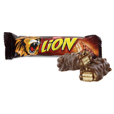 lion_duo